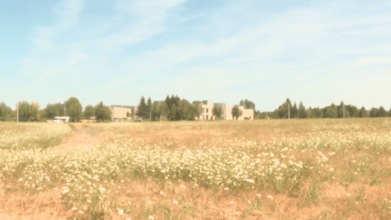 The proposed site is located at 6240 NE Wagon Drive, 5340 & 5450 NE Croeni Avenue, and 5225 NE Five Oaks Drive. Preliminary plans KATU obtained through a public records request show the data center would take up roughly 15.7 acres and 496,540 square feet. (KATU)