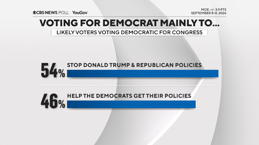 vote-mainly-dem.png